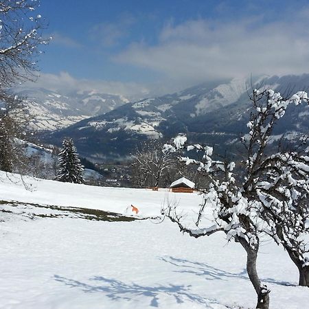 Ferienwohnung Mitterleithengut Zell am See Ngoại thất bức ảnh