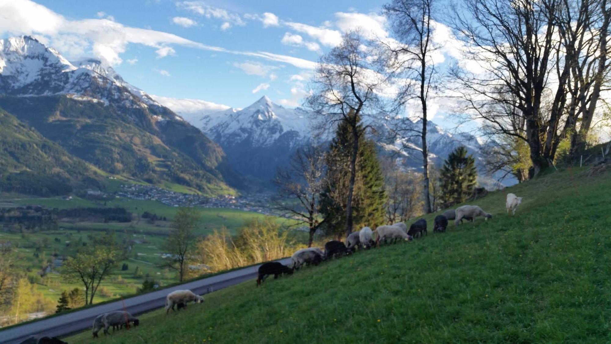 Ferienwohnung Mitterleithengut Zell am See Ngoại thất bức ảnh