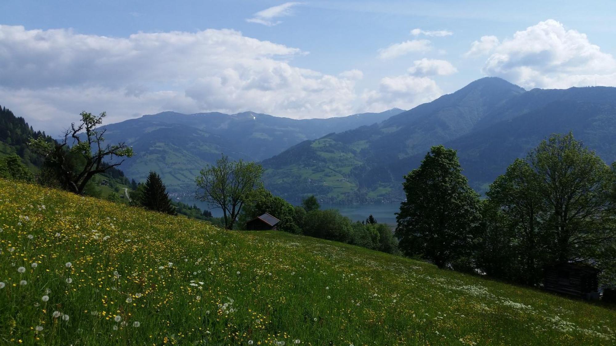 Ferienwohnung Mitterleithengut Zell am See Ngoại thất bức ảnh
